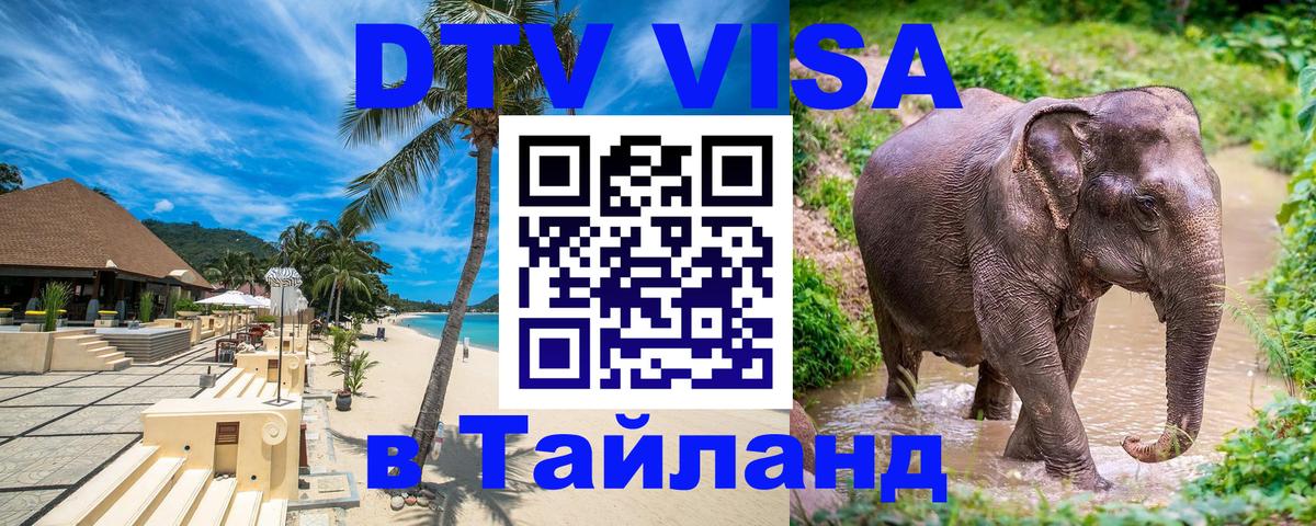 Оформление DTV визы под ключ: стоимость и тарифы, только загранпаспорт - 08.01.2026 